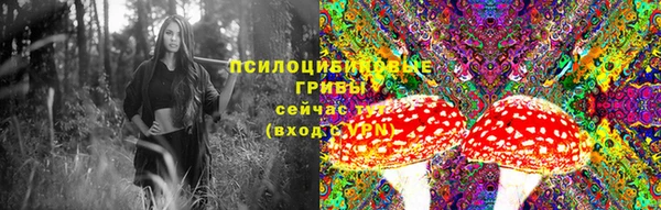 хмурый Абинск
