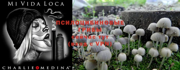 хмурый Абинск