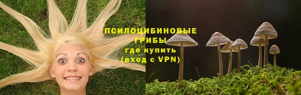 соль ск Абаза